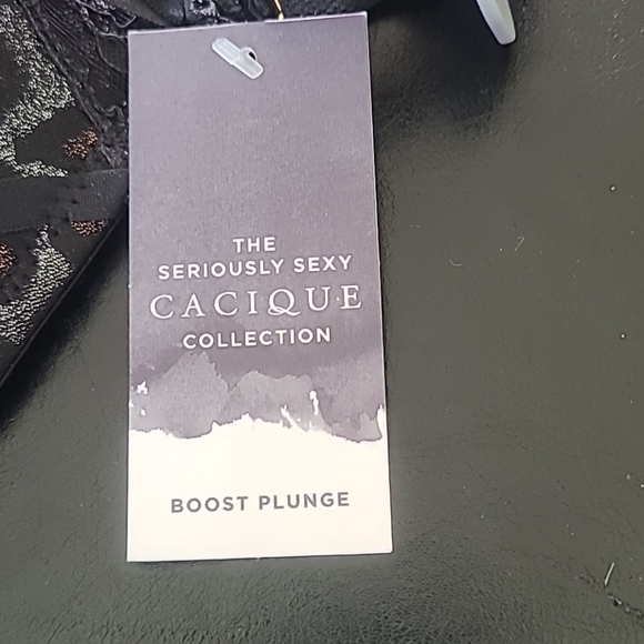 Lane Bryant Bra - Picture 3 of 4